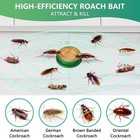 Powerful Roach Repellent  Domestic Dormitory Kitchen Cockroach Bait Roach Killer
