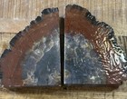 Arizona Petrified agatized Wood Bookends Polished Rock 5 5lbs