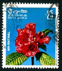 Sri Lanka Cancelled Stamp Indigenous Flora - Ma-ratmal 1976 Sri Lanka G3