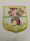 Switzerland Sdis Haute-broye Dps Moudon-lucens Fire Department Patch
