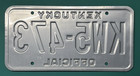 Vintage License Plate  Kentucky - Official