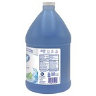 Dial Professional Spring Water Antibacterial Foaming Hand Wash  128 Fl Oz