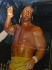 Hulk Hogan Signed 16x20 Photo  Coa Autograph Authentic Wwe Framed Ali
