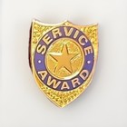 Service Awarded Pin Tie Tack Lapel Pin Goldtone Badge Shaped
