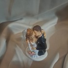 Bride   Groom Cake Topper