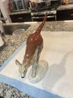 Large Ceramic Pottery Kangaroo  Studio  Austrsigned Cym  For Baz Luhrmann    rare   