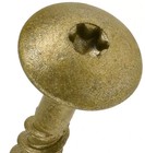 Lag Screws  1 4  X 2   Star Drive Construction Lag Screws  Rust Resistant  Ceram