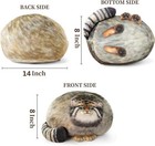 Steppe Cat Plush  Cat Stuffed Animal 35cm 14inch  Pallas Cat Plush Pillow  Cu   