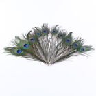 10pcs Craft Natural Peacock Feathers Wedding Party Bouquet Decoration10-12 