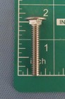  100  1 4-20x1-1 2 Carriage Bolts 304 Stainless Round Head Square Neck