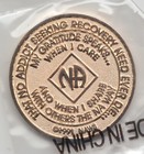 1 Year I - Narcotics Anonymous Recovery Medal Token Chip Coin