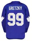 Men s  99 Gretzky Labatt Team Coupe Canada Cup Stitched Hockey Jersey Xl Blue