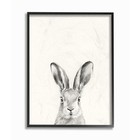 Stupell Bunny Rabbit Portrait Grey Drawing Design Framed Wall Art