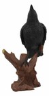 Ebros Crowing Raven Perched On Tree Branch 8 25  Tall Scavenger Bird Figurine