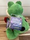 Jj  Russ Shining Stars Green Frog Valentine Rose Plush Stuffed Animal Toy Nwt