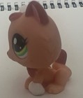 Littlest Pet Shop Authentic  1818 Orange Peach White Kitten Kitty Cat Green Eyes