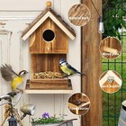 Bird Houses For Outside Hanging Bird House Feeder For Hummingbirds Cardinal W   