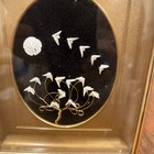 Vintage Framed Sand Dollar Sea Shell With Peace Doves Wire Tree 6  X 8 