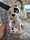 Neopets Limited Too 2004 Black And White Spotted Gelert Dalmatian Dog 7 5  Plush