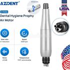 Premium Plus Dental Hygiene Prophy Handpiece Air Motor 4 Holes   4 1 Nose Cone
