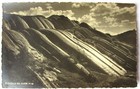 Rare Postcard From Martin Chambi  fi Rodadero  Cuzco