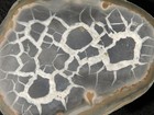 Neat  Lighting Like Pattern  Split And Polished Septarian Nodule Morocco 166gr