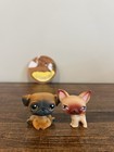 Littlest Pet Shop Chihuahua  1 Pug  2 Dogs Hasbro G2 Authentic Pair Lps Toys