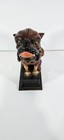 Vintage Cast Iron Book Of Knowledge Bull Dog Mechanical Bank E 20th Century Xlnt