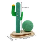 Road Cat Scratching Post Cactus Cat Scratcher Kitten Condo Tower House Bed