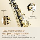 New Eb Alto Sax Complete Set - Beginner Pro Package With Accessories-