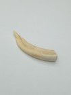 Vintage Replica Boar s Tooth Plastic Ussr Plasticine Good Condition