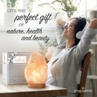 Natural Himalayan Salt Lamp large Hand Carved Natural Chunk