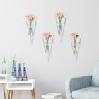 Clear Circular Cone Glass Wall Hanging Vase Flower Vase Bottle For Plant Holder