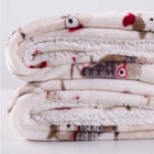 Luxury Ultra Soft Plush Fluffy Cozy Warm Throw Blanket For Couch   Bed