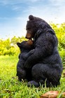 Mother baby Bear Statue Black brown--garden home Decor  Garden Statue