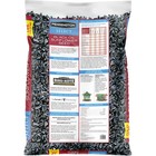 Pennington Select Black Oil Sunflower Seed Wild Bird Dry Feed  40 Lb  Bag