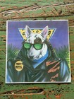 Spuds Mackenzie  party Animal  Glass Carnival Game Mirror 1980   s