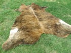 Large Brindle Brown Cowhide Rug Natural Hair Cowhides Cow Hide Skin 6x6 Feet Rc