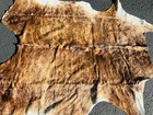 New Large 100  Cowhide Leather Rugs Carpet Cow Hide Skin Western Americana 70x68