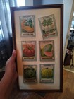 Chesmore Seed Co Vintage 5 Cent 10 Cent Packs Watermelon Pumpkin Tomato   