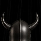 Viking Horned Helmet Medieval Norse Warrior Steel Armor Larp Cosplay
