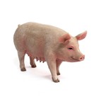 Collecta Farm Life Collection Miniature Figure   Sow