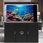 Under The Sea Aquarium Background Coral Reef Ecosystem Colorful Tropical Fish