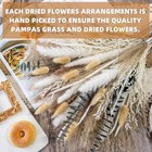 Pampas Grass Decor  dried Eucalyptus Bouquet Pompas Grass Boho Dried Floral 