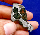   new   5 88 Gram - Nwa 15428 Pallasite Meteorite Slice - Translucent Slice