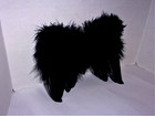 Black Feather Wings- 2 Sizes