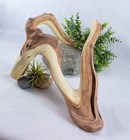 18  Large Manzanita Driftwood Branch Aquarium Aquascape Reptile Terrarium Wood