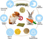 20pcs Bunny Chew Toys Natural Rabbit Guinea Pig Hamster Chinchilla Treat Set