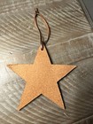 American Airlines Vintage Electra Inaugural Flight Star Christmas Ornament  