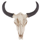 Huge Texas Longhorn Cow Skull Wall Hanging Long Horn Steer Western Decoration